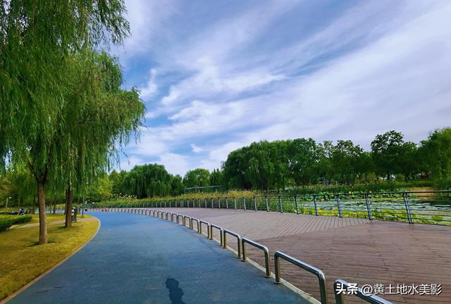 郑州龙湖湿地公园现状分析，河南郑州龙湖湿地公园秋色初露