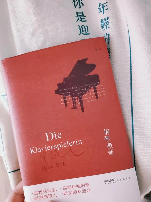 钢琴教师影评，《钢琴教师》：母爱也有阴影