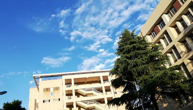 西南政法大学录取分数线2022，2022西南政法大学在贵州录取分数线及招生计划（6所政法类名校法学专业录取分）