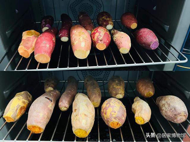 哈密红薯品种介绍，哈密薯特征功效（街边的烤红薯不要了）