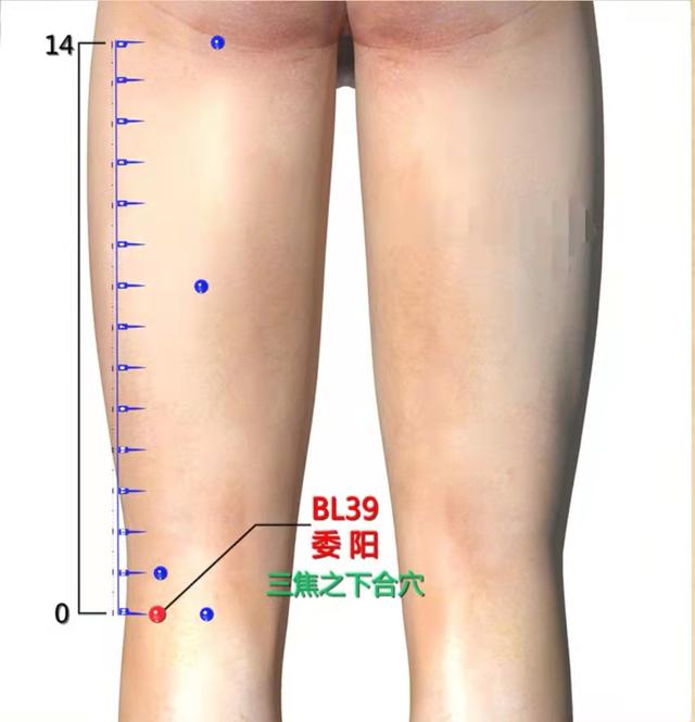 背痛怎么办，肾虚腰酸背痛怎么办（怎么办可以快速缓解）