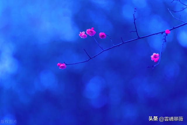 射手男和水瓶女配对指数，射手男与水瓶女的配对分析（水瓶座男婚配射手座女的适配指数）