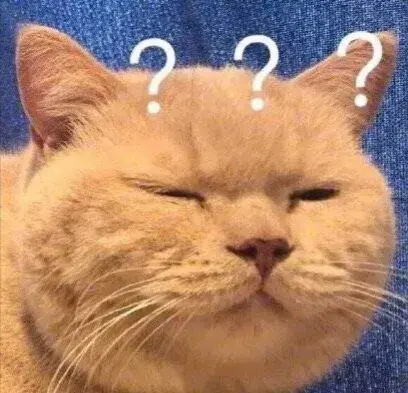 广州的国际学校有哪些（公立广州国际学校有哪些好的选择）