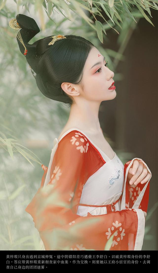 青簪行小说介绍，青簪行作者作品（爆燃探案古装热剧《青簪行》原著《簪中录》古言推理现象级畅销书）