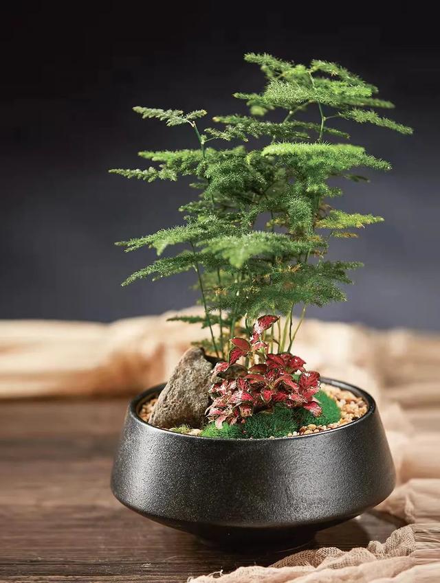 除了花艺沙龙，三八节的这几类沙龙新颖别致，前景可观