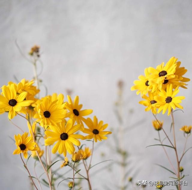 12种颜色的图片（2022秋冬十大流行色）