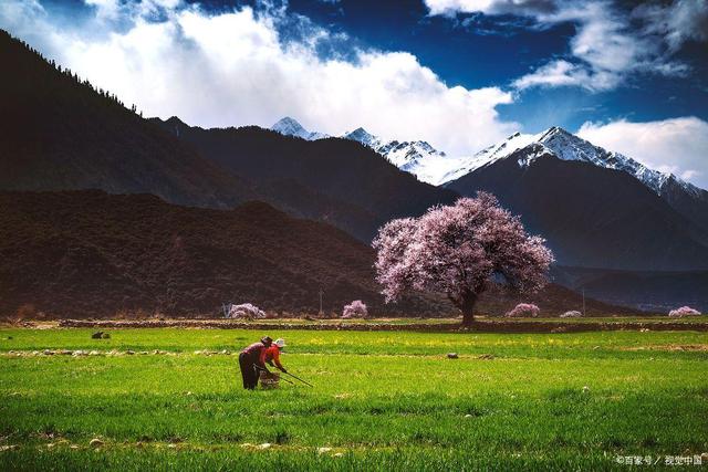 林芝旅游攻略，因为它有无与伦比的山水背景