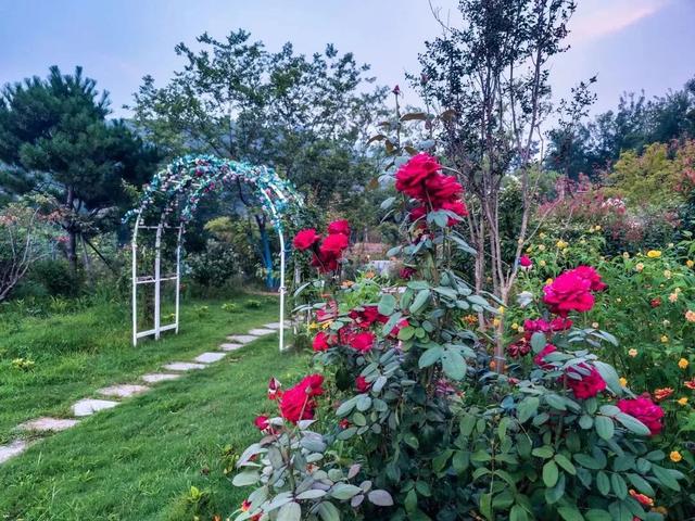 蒙古包帐篷价格，12米蒙古包价格（莱芜这三处绝美露营地）