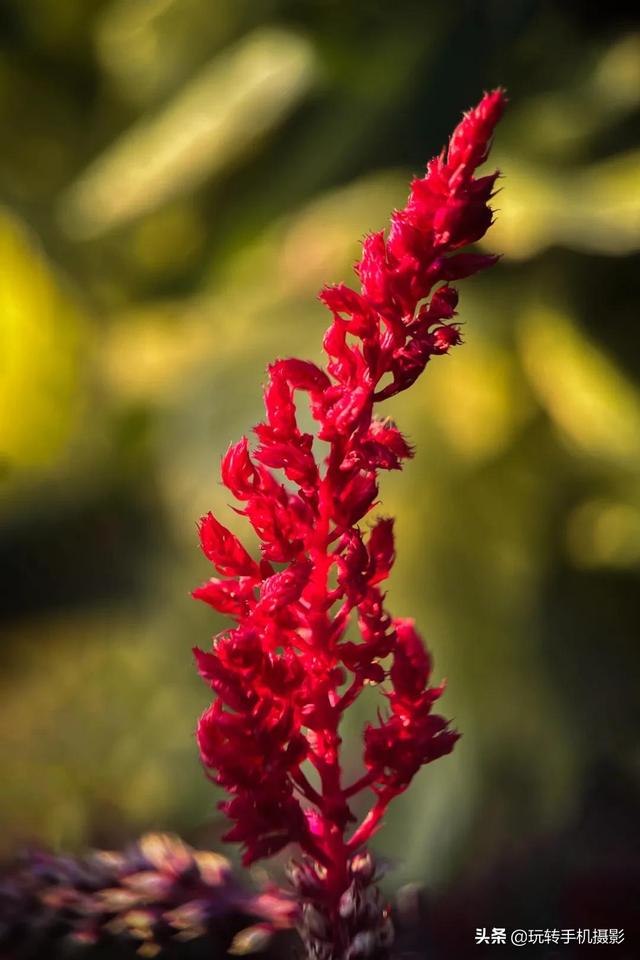 什么情况下拍照用HDR模式，拍照中的hdr是什么模式（你想不到的公园拍照技巧）