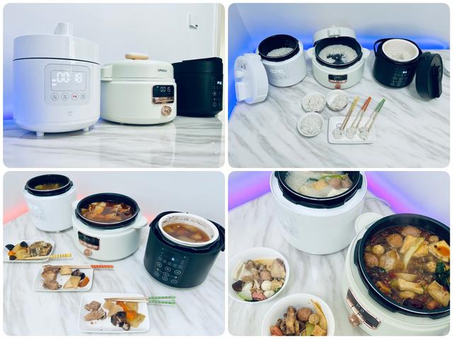 电压力锅炖排骨，电压力锅炖排骨做法（攻略+横评+实测）