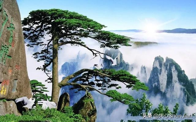 梅里山鹰好词，梅里山鹰的名人名言（梅里雪山-雪神的守卫）