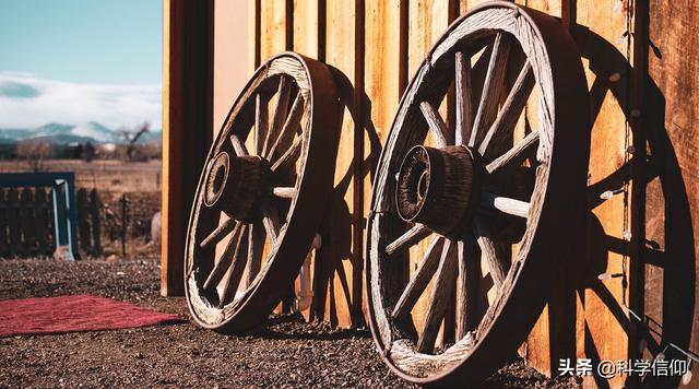 车轮为什么是圆的，车轮为什么是圆的说理视频（动物为什么没有进化出轮子腿）