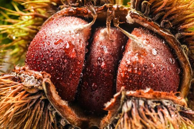 安阳好玩的地方，安阳周边那些不太出名但好玩的地方（安阳游玩︱推荐七朝古都游玩0元打卡的5个景点）