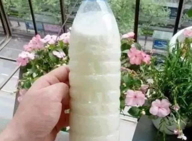 鲜花营养液自制，如何简单调制鲜花营养液（自制4种养花“营养液”）