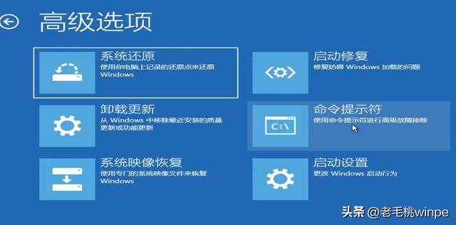 计算机病毒的种类，计算机病毒的分类及攻击方式（号称“最恐怖”的电脑病毒）
