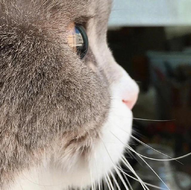 简单QQ头像微信，简单QQ头像（超级好看的可爱头像）