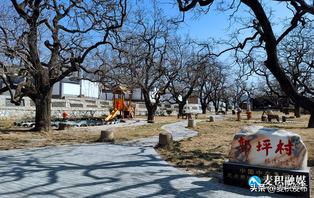 天水麦积区耕地面积，麦积区：示范建设为引领