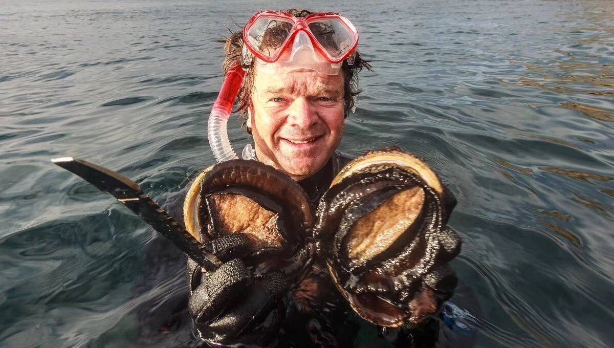 一头鲍鱼多少钱一只(世界上最大的鲍鱼) - 价格百科