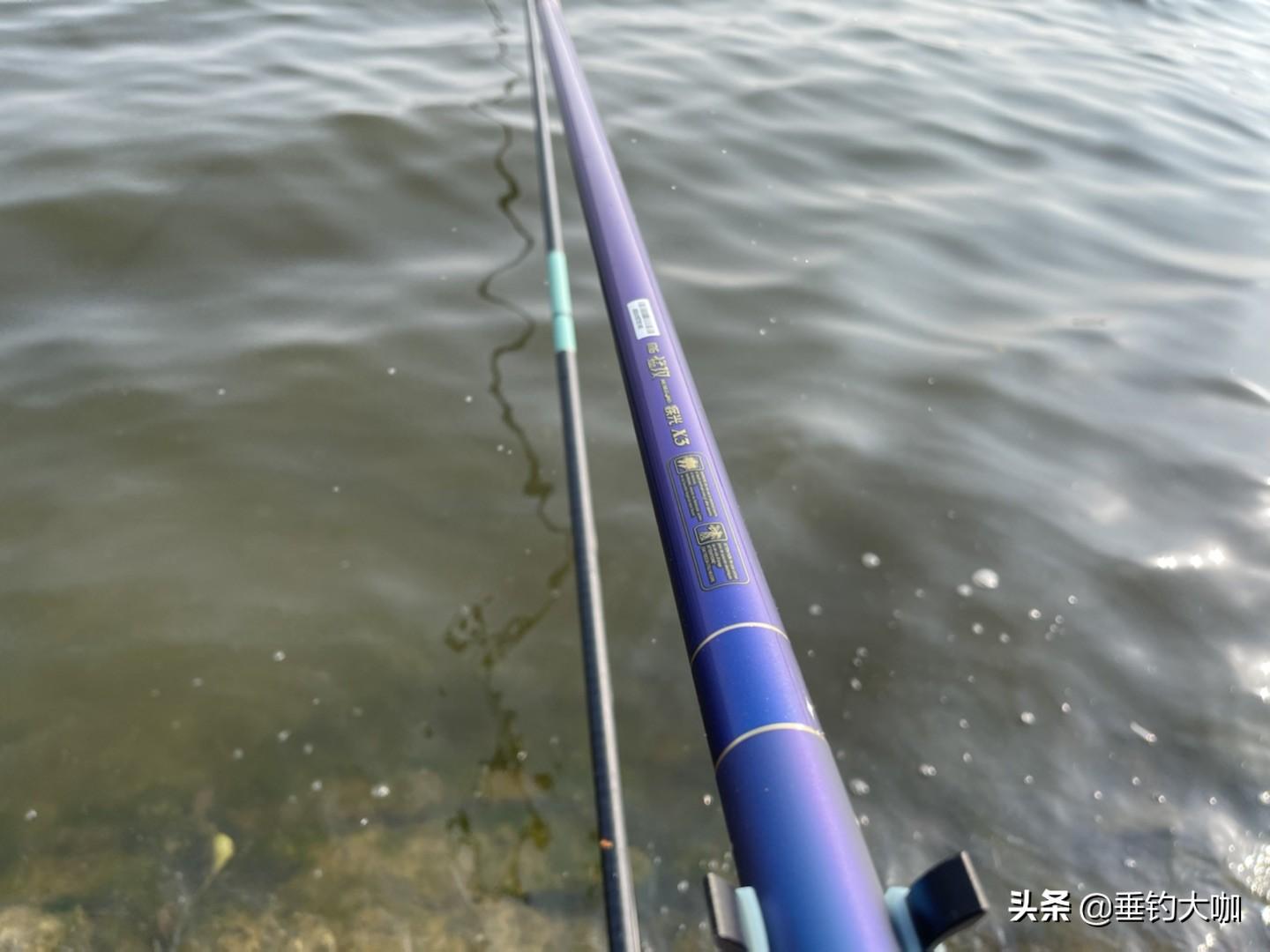 什么鱼竿好(刚学钓鱼买什么鱼竿)