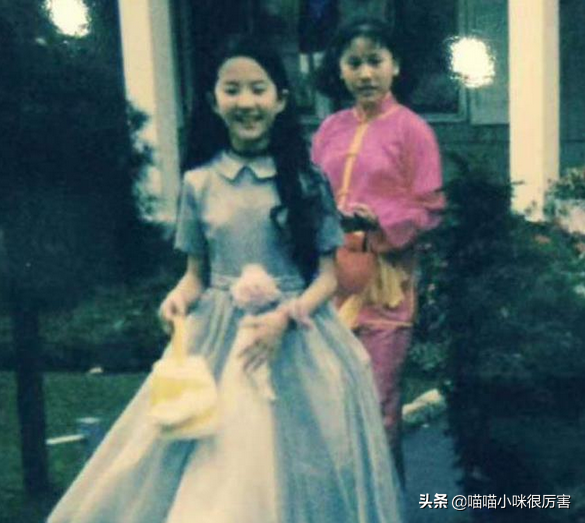 刘亦菲继父，刘亦菲继父命理分析及预测（幸运的刘亦菲：出道就演女主）