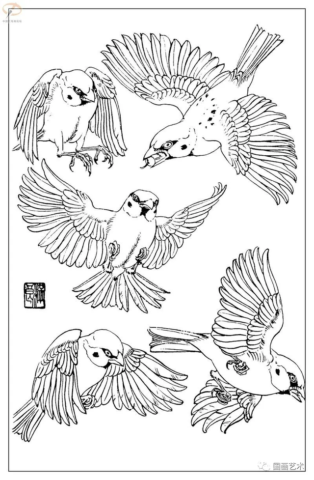 火的简笔画图片，火焰怎么画简笔画图片（画鸟参考——白描麻雀百图）