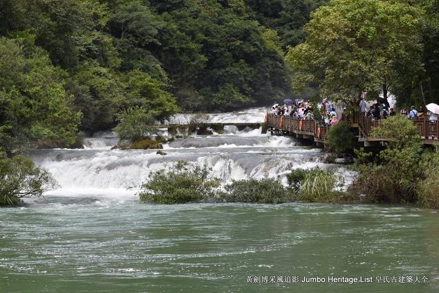 黔南布依族苗族州，娃娃鱼图片大全大图