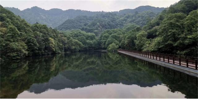 河南好茶推荐，行走河南·读懂中国丨信阳