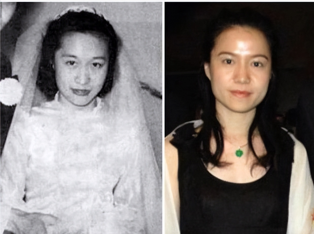 达令是什么意思，达令是什么意思含义（好友曝杨振宁再婚后得过三场重病）
