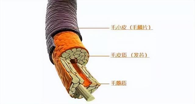 干发帽的正确戴法，干发帽怎么戴（保养头发的方法）