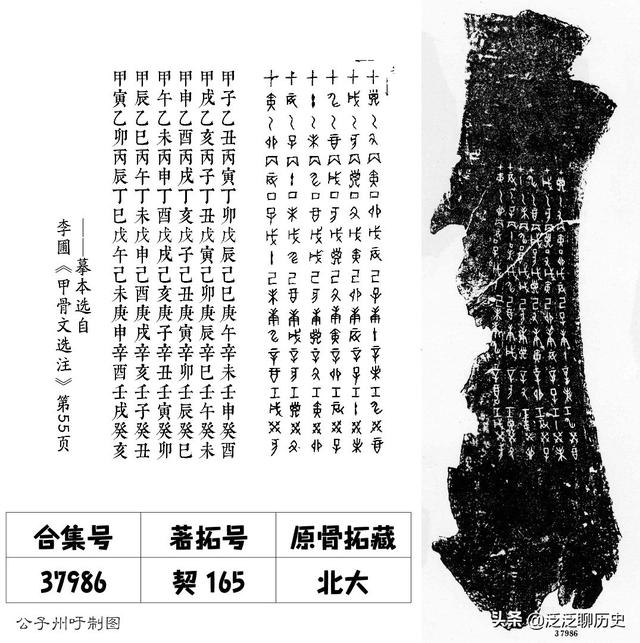 十天干是什么(十天干是什么拼音)