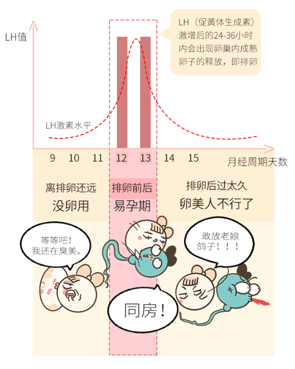 已受孕后排卵试纸图片,已经怀孕排卵试纸显示什么(这次终于对排卵试纸