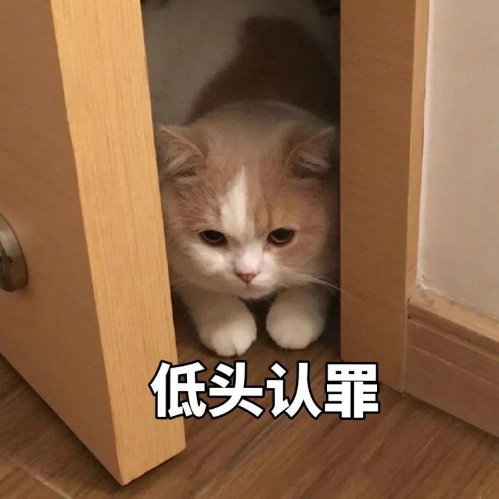 好看的表情包(10000种表情包图片大全)