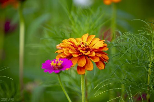 一个男人图你钱的表现，男生图你钱的表现（其实一眼就能看出来）