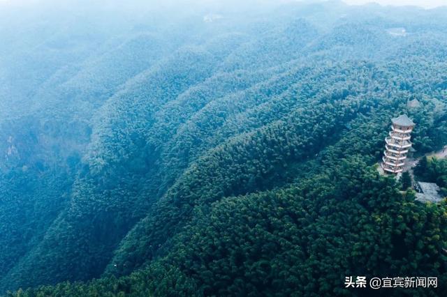 竹海生态旅游景区介绍，到绿水青山的蜀南竹海“走一遭”吧
