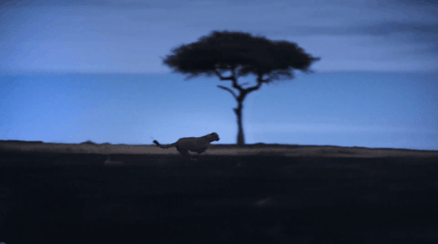 美剧推荐大片9.0以上评分，10部必看的高分美剧（这五部赏心悦目的大片）