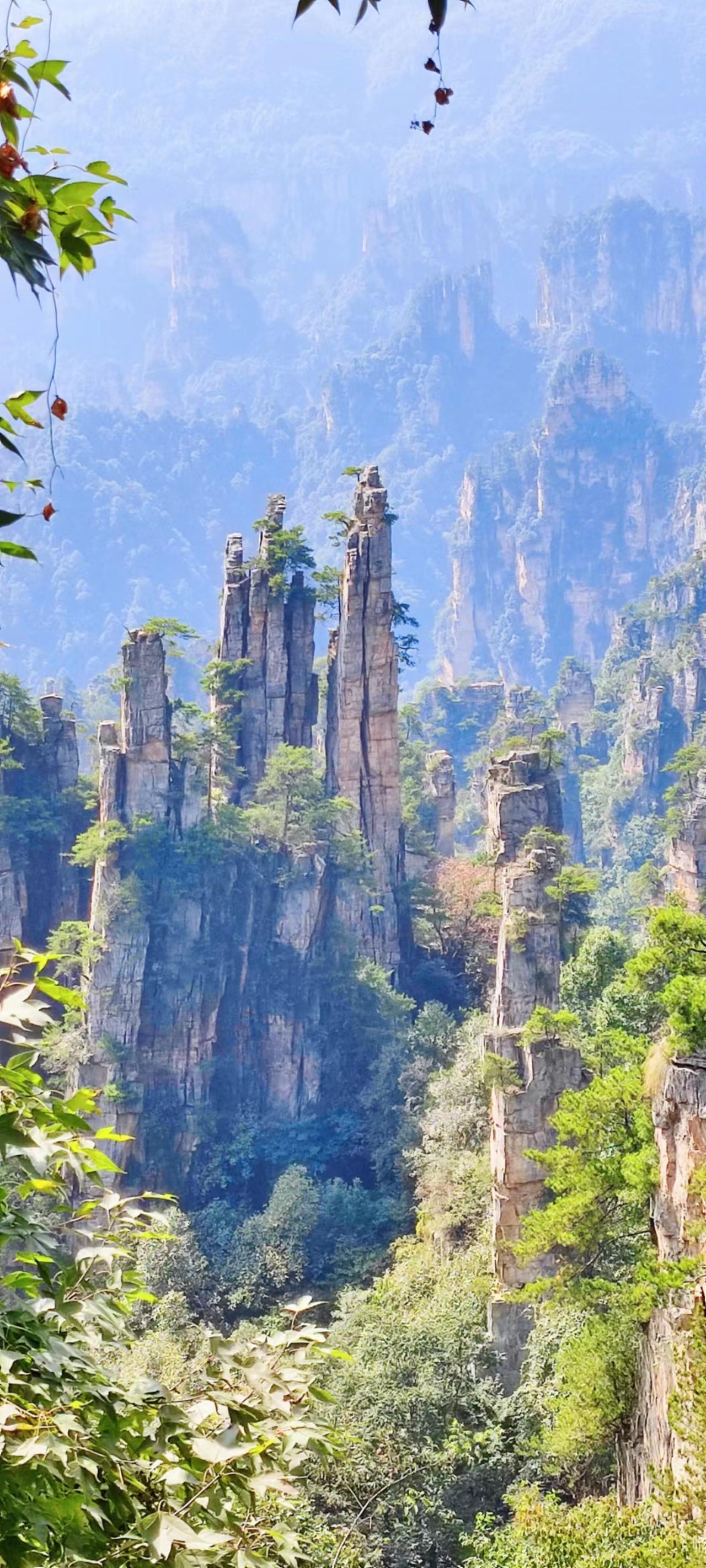 广东海洋大学3a（凭知名度）