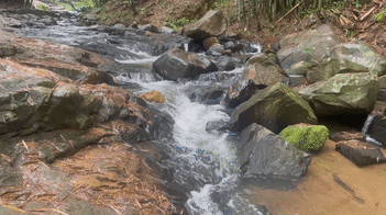 广州徒步登山经典路线，​黄埔秘境在这里