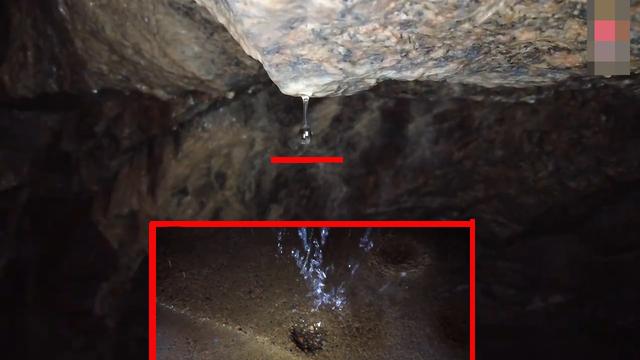 的卢马的读音，《三国演义》电视剧“的卢马”（汉字探源：的字的来历及其本义）