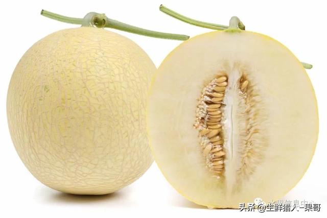 绿色的哈密瓜叫什么，绿色的哈密瓜叫什么名字（哈密瓜、蜜瓜、网纹瓜、香瓜、羊角蜜傻傻分不清）