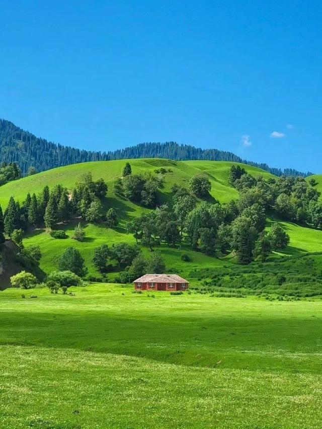 微信状态背景视频，微信怎么做状态背景视频（<有教程和配套农场状态背景图>）