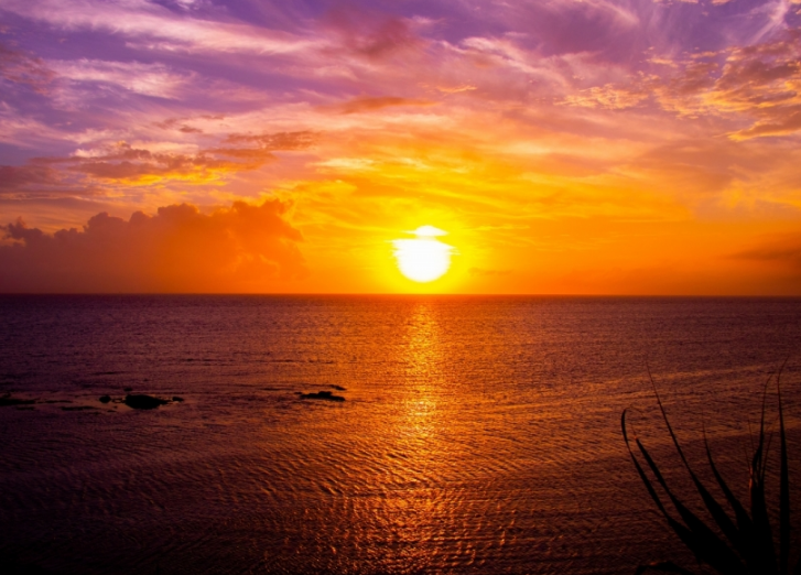 时间飞逝的诗句，描写时间飞逝的古诗