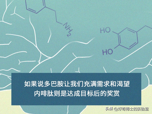 恋爱初期肢体接触时间表，恋爱初期肢体接触时间表简单（身体都会有哪些生理反应）