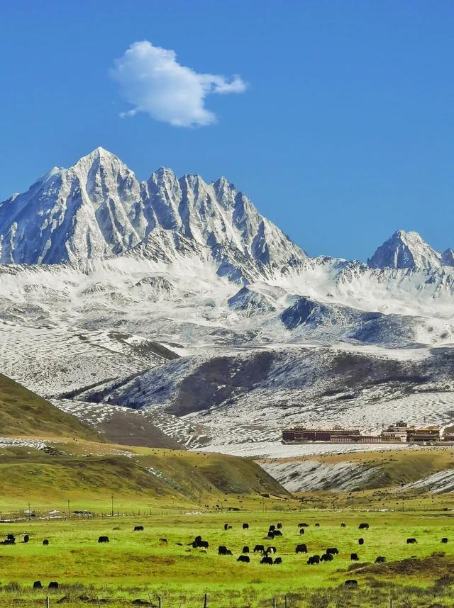 318旅行沿途风景地图，不期而遇的风景向你扑面而来……