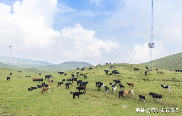 六盘水气候特征，六盘水的气候特点是什么（旅居人均只需1500/月）
