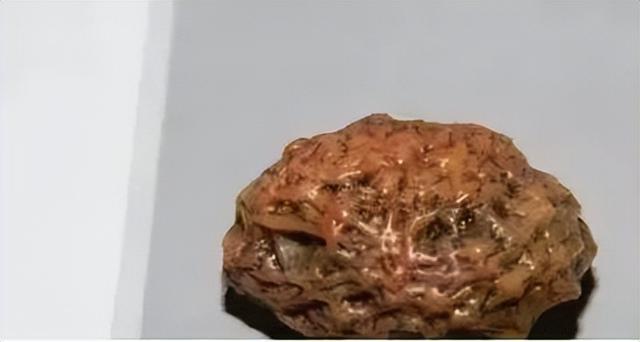 菩提代表什么意思，这玩意儿叫金刚却不是金刚（19颗菩提代表什么意思）