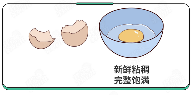 刚孵出来的小鸡怎么养，刚孵化的小鸡怎么养（抽检出抗生素超标）