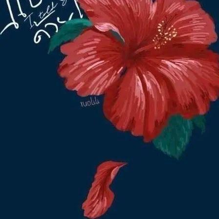 逼图，微信头像，逼图（微信头像+背景图片2022最火爆）