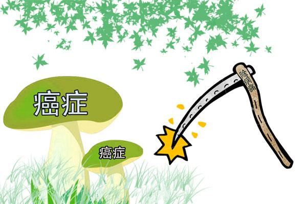 肉的种类有多少种，肉肉的种类有哪些（是肉吃多了“惹的祸”）