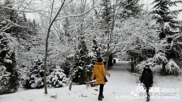 南山公园在哪里，深圳大南山公园开放时间（这是你们熟悉的那个南山公园吗）
