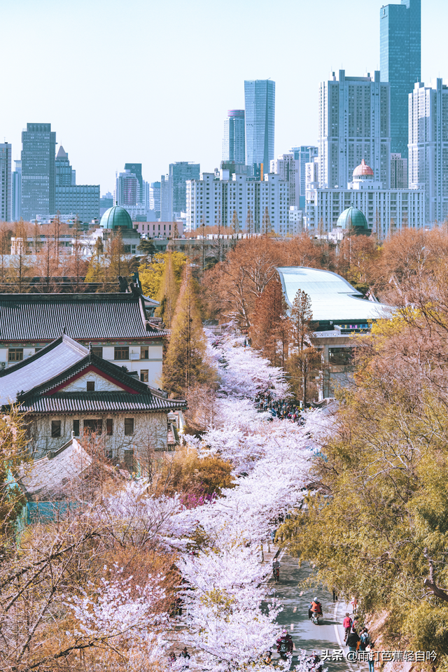 鸡鸣寺要门票吗，鸡鸣寺要预约吗（2023年南京吃住行玩超全攻略）